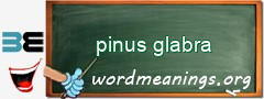 WordMeaning blackboard for pinus glabra